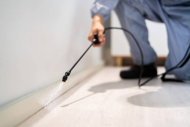Bed Bug Pre-Treatment Preparation Assessment in New Deal