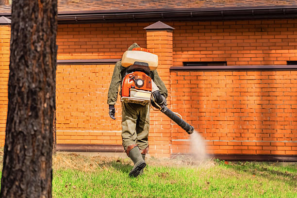 Bed Bug Clearance Verification and Documentation in New Deal